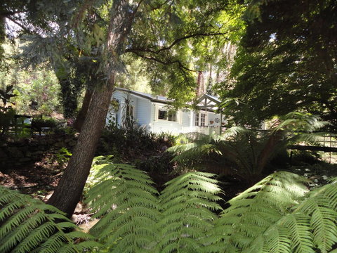 Aldgate Valley Bed And Breakfast - Holiday Sunshine Coast 30