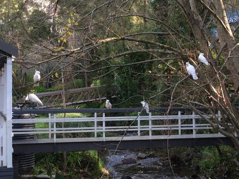 Aldgate Valley Bed And Breakfast - Holiday Sunshine Coast 41