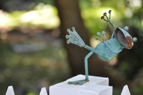 Aldgate Valley Bed And Breakfast - Holiday Sunshine Coast 38