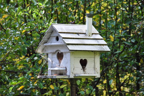 Aldgate Valley Bed And Breakfast - Holiday Sunshine Coast 37