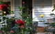 Aldgate Valley Bed And Breakfast - thumb 31