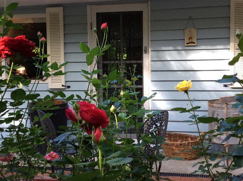 Aldgate Valley Bed And Breakfast - Holiday Sunshine Coast 31