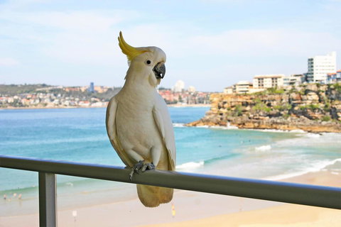 Beachfront Bliss - Holiday Sunshine Coast 23