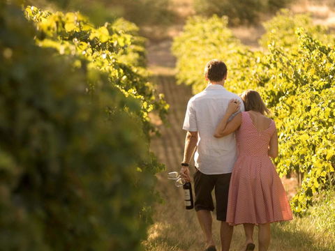 Novotel Barossa Valley Resort - Holiday Sunshine Coast 40