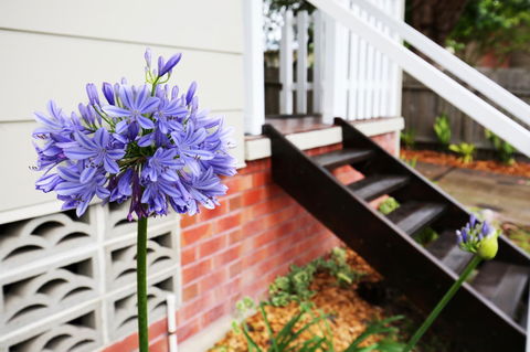 Hudson Bay @ Basin View-Pet Friendly-15 Mins To Hyams Beach - Holiday Sunshine Coast 38
