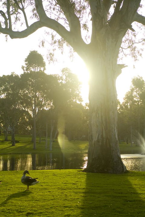 Serafino McLaren Vale - Sunshine Coast Tourism 15