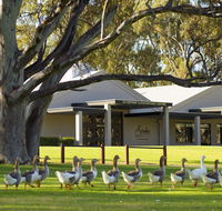 Serafino McLaren Vale - Sunshine Coast Tourism