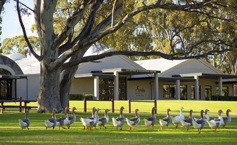 Serafino McLaren Vale - Sunshine Coast Tourism 0