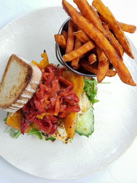 The Avenue Inn - Sunshine Coast Tourism 7