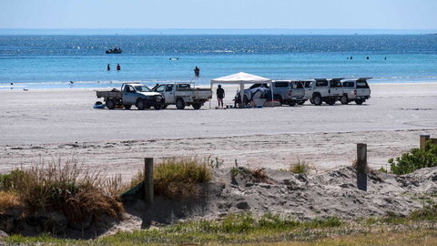 Wallaroo Holiday Park - Holiday Sunshine Coast 9