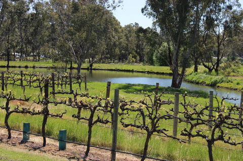OXENBERRY FARM - Sunshine Coast Tourism 19