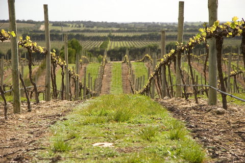 Lakeview Motel And Apartments - Holiday Sunshine Coast 37