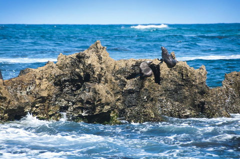 Lakeview Motel And Apartments - Holiday Sunshine Coast 24