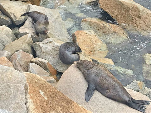 Penthouse On The Promenade - Sunshine Coast Tourism 17