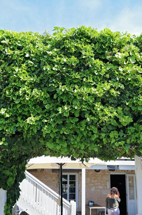 Caledonian Inn - Holiday Sunshine Coast 21