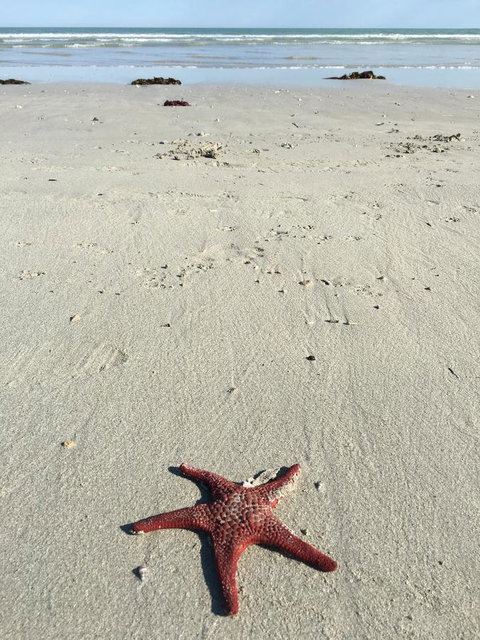 Caledonian Inn - Holiday Sunshine Coast 14