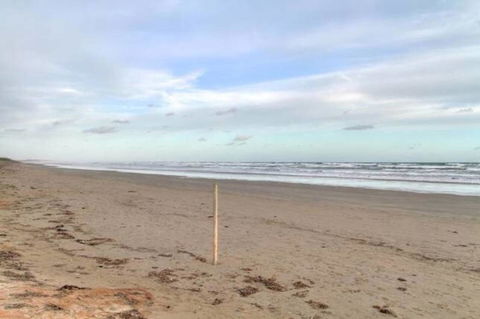 SeaWatch-Sea Views - Sunshine Coast Tourism 6