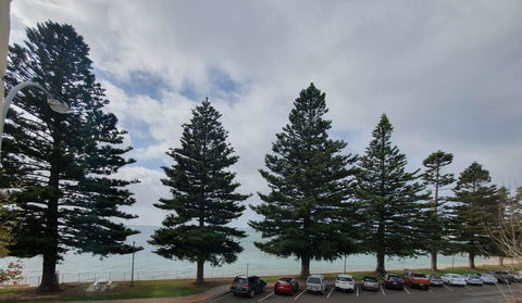 Pier Hotel Port Lincoln - Holiday Sunshine Coast 12