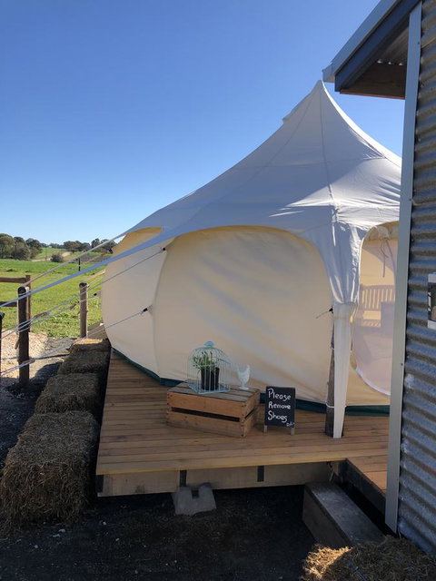 Bukirk Glamping & Fancy Coops - Sunshine Coast Tourism 11