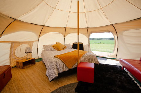 Bukirk Glamping & Fancy Coops - Sunshine Coast Tourism 8