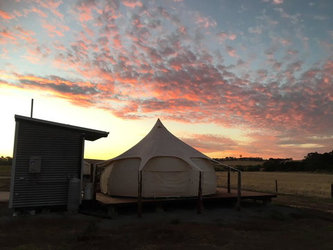 Bukirk Glamping & Fancy Coops - Sunshine Coast Tourism 24