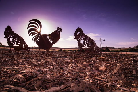 Bukirk Glamping & Fancy Coops - Sunshine Coast Tourism 34