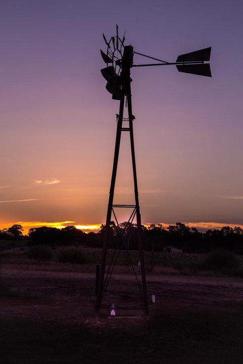Bukirk Glamping & Fancy Coops - Sunshine Coast Tourism 31