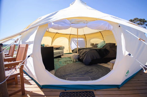 Bukirk Glamping & Fancy Coops - Sunshine Coast Tourism 14