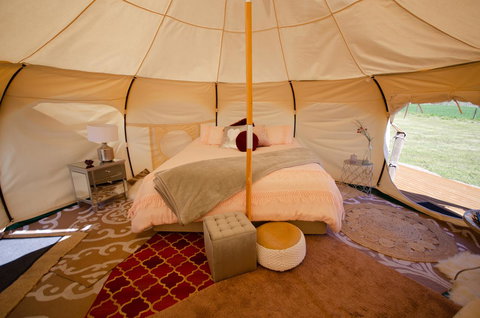 Bukirk Glamping & Fancy Coops - Sunshine Coast Tourism 4
