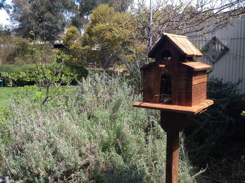 Jack\'s House B&B Clare - Sunshine Coast Tourism 6