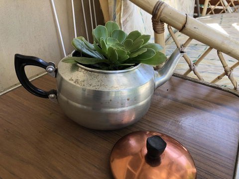 Goolwa Marinerâ€™s Cottage - Free Wifi And Pet Friendly - Centrally Located In Historic Region - Holiday Sunshine Coast 28