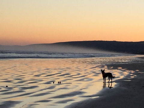 Goolwa Marinerâ€™s Cottage - Free Wifi And Pet Friendly - Centrally Located In Historic Region - Holiday Sunshine Coast 35