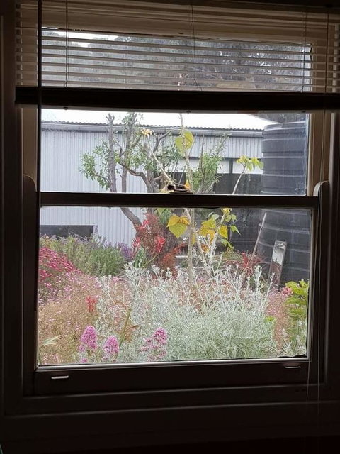 Sinclair Cottage - Holiday Sunshine Coast 24