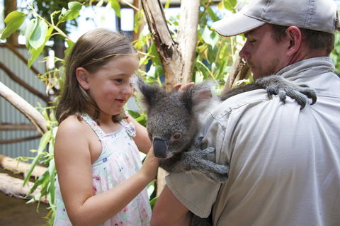 One Mile Retreat - Sunshine Coast Tourism 16