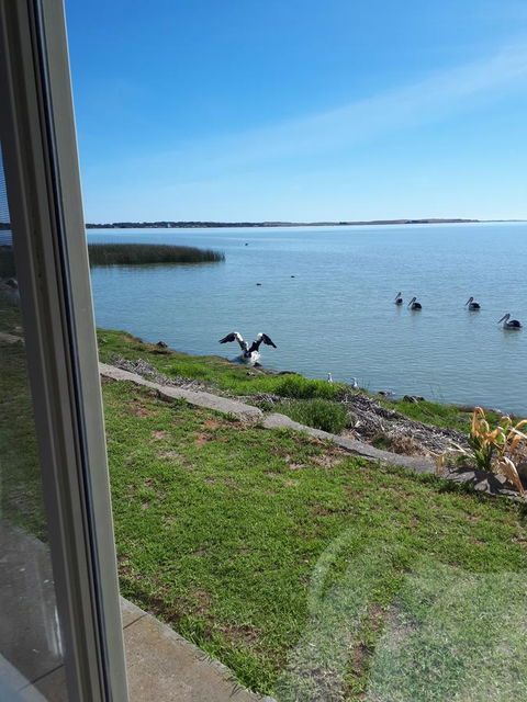 Meningie Waterfront Motel - Sunshine Coast Tourism 32