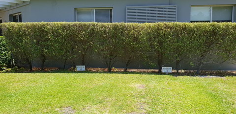 2 Austinmer Studio - Sunshine Coast Tourism 12