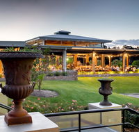 Harrigan's Irish Pub  Accommodation - Holiday Sunshine Coast