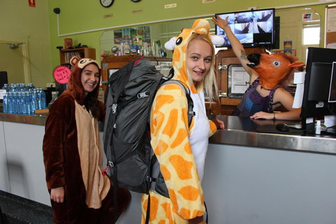 Backpack Oz - Sunshine Coast Tourism 10