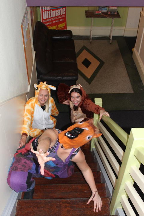 Backpack Oz - Sunshine Coast Tourism 13