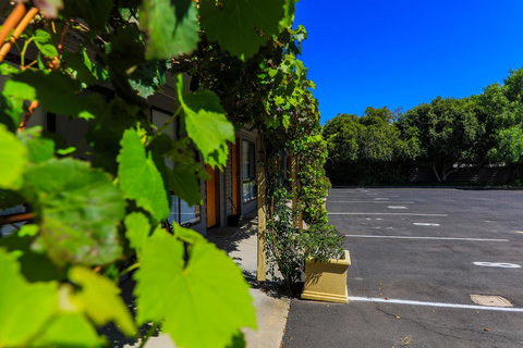 Country Roads Motor Inn Naracoorte - Holiday Sunshine Coast 16