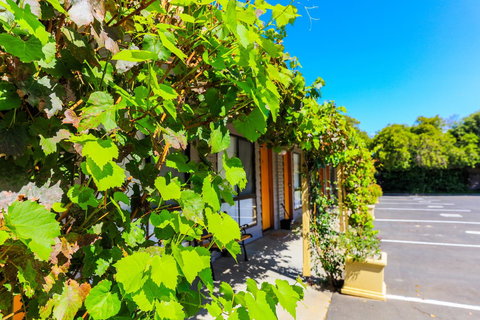 Country Roads Motor Inn Naracoorte - Holiday Sunshine Coast 18