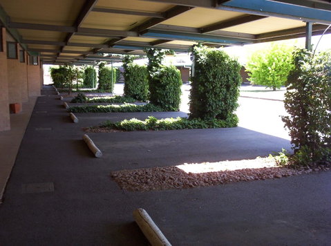 The Wine Vine Hotel - Sunshine Coast Tourism 17