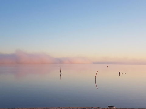 Barmera Lake Resort Motel - Sunshine Coast Tourism 3