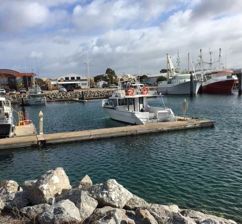 Port Lincoln Shark Apartment 3 - Sunshine Coast Tourism 1