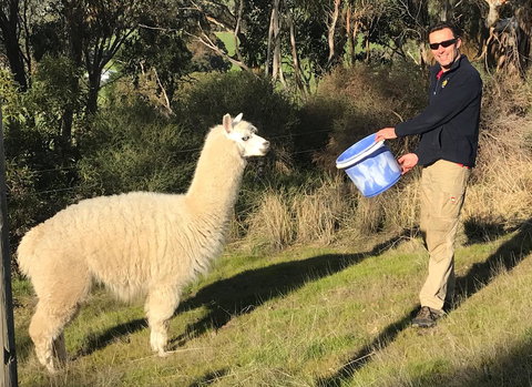 Cabernet Cottage - Holiday Sunshine Coast 15