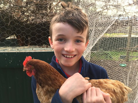 Cabernet Cottage - Holiday Sunshine Coast 14