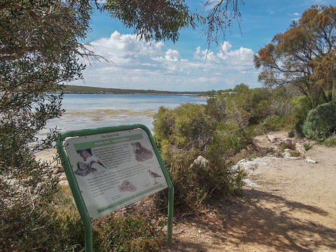 Willygunyah - Sunshine Coast Tourism 31