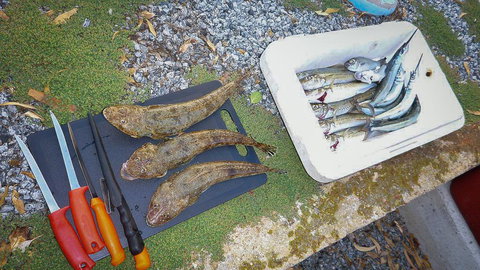 Willygunyah - Sunshine Coast Tourism 30