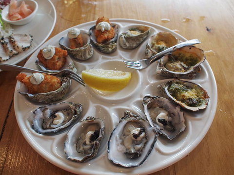 Willygunyah - Sunshine Coast Tourism 28