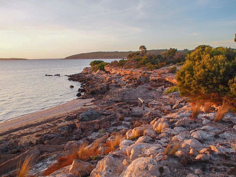 Willygunyah - Sunshine Coast Tourism 29